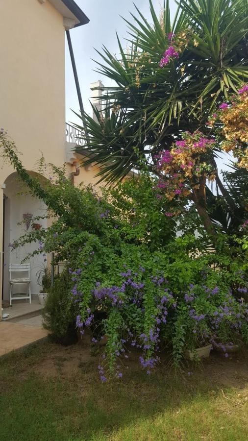 B&B Villa Orchidea 올비아 외부 사진