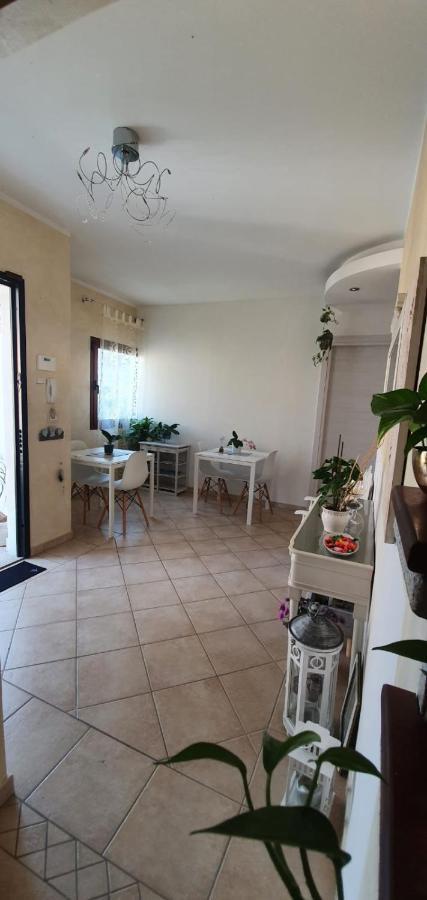 B&B Villa Orchidea 올비아 외부 사진